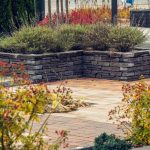 Murek-Albero-1 Kostka brukowa zawsze w dobrej formie! Jak przygotować nawierzchnię do zimy?